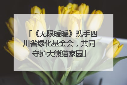 《无限暖暖》携手四川省绿化基金会，共同守护大熊猫家园
