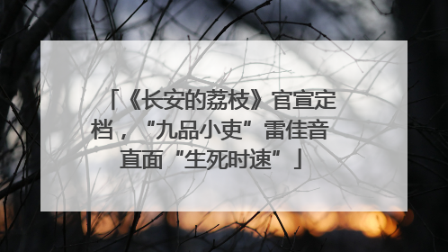 《长安的荔枝》官宣定档，“九品小吏”雷佳音直面“生死时速”