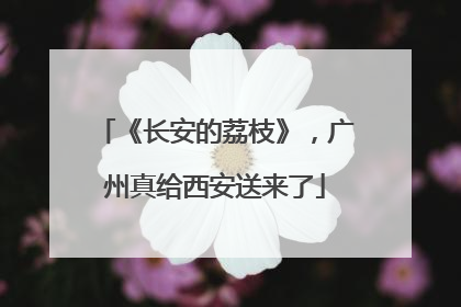 《长安的荔枝》，广州真给西安送来了