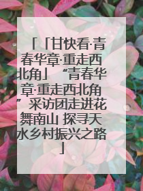 「甘快看·青春华章·重走西北角」“青春华章·重走西北角”采访团走进花舞南山 探寻天水乡村振兴之路