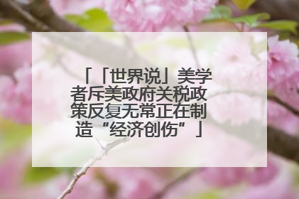 「世界说」美学者斥美政府关税政策反复无常正在制造“经济创伤”