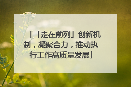 「走在前列」创新机制，凝聚合力，推动执行工作高质量发展