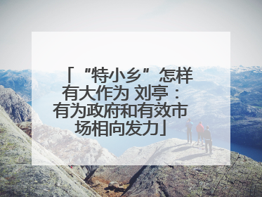 “特小乡”怎样有大作为 刘亭：有为政府和有效市场相向发力