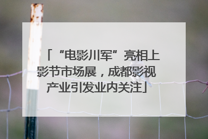 “电影川军”亮相上影节市场展，成都影视产业引发业内关注