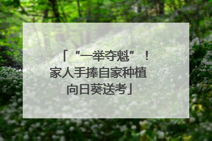 “一举夺魁”！家人手捧自家种植向日葵送考