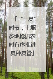 “三夏”时节，十堰多地抢抓农时有序推进夏种夏管