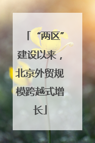 “两区”建设以来，北京外贸规模跨越式增长