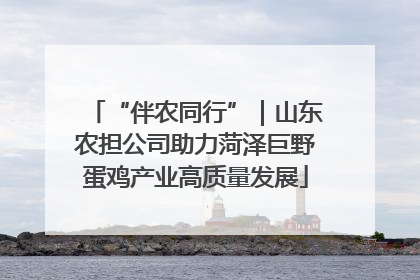 “伴农同行”｜山东农担公司助力菏泽巨野蛋鸡产业高质量发展