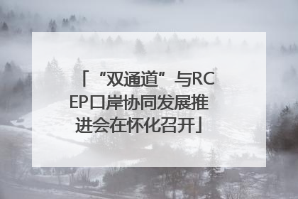 “双通道”与RCEP口岸协同发展推进会在怀化召开