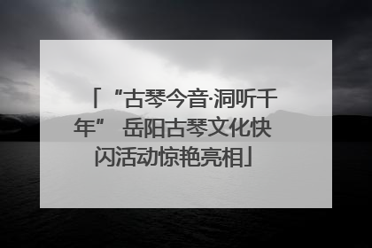 “古琴今音·洞听千年” 岳阳古琴文化快闪活动惊艳亮相