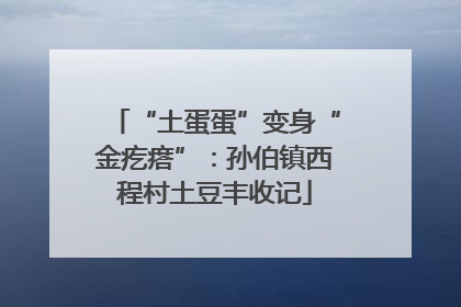 “土蛋蛋”变身“金疙瘩”：孙伯镇西程村土豆丰收记