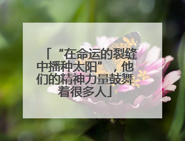 “在命运的裂缝中播种太阳”，他们的精神力量鼓舞着很多人