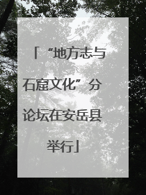 “地方志与石窟文化”分论坛在安岳县举行
