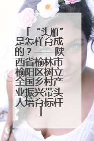 “头雁”是怎样育成的？——陕西省榆林市榆阳区树立全国乡村产业振兴带头人培育标杆