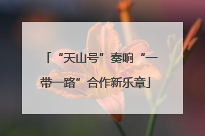 “天山号”奏响“一带一路”合作新乐章