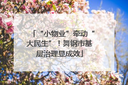 “小物业”牵动“大民生”！舞钢市基层治理显成效