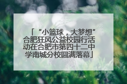 “小篮球，大梦想”合肥狂风公益校园行活动在合肥市第四十二中学南城分校圆满落幕