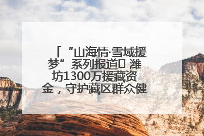“山海情·雪域援梦”系列报道⑪ 潍坊1300万援藏资金，守护藏区群众健康“最后一公里”