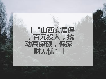 “山西安居保，百元投入，撬动高保额，保家财无忧”