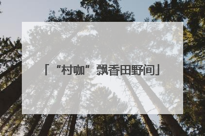 “村咖”飘香田野间