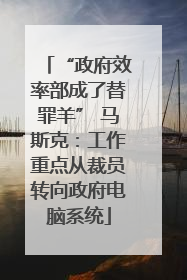“政府效率部成了替罪羊” 马斯克：工作重点从裁员转向政府电脑系统