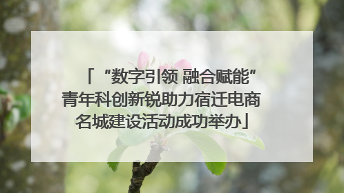 “数字引领 融合赋能”青年科创新锐助力宿迁电商名城建设活动成功举办