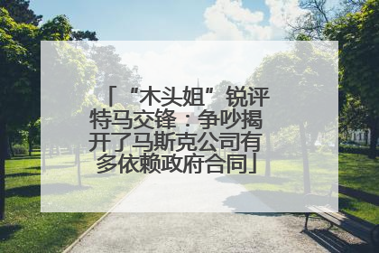 “木头姐”锐评特马交锋：争吵揭开了马斯克公司有多依赖政府合同