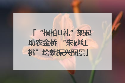 “桐柏U礼”架起助农金桥 “朱砂红桃”绘就振兴图景