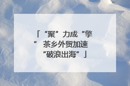 “聚”力成“擎” 茶乡外贸加速“破浪出海”