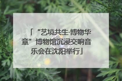 “艺境共生·博物华章”博物馆沉浸交响音乐会在沈阳举行