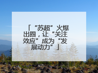 “苏超”火爆出圈，让“关注效应”成为“发展动力”