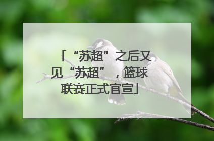 “苏超”之后又见“苏超”，篮球联赛正式官宣