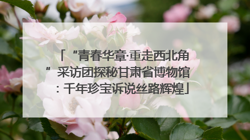 “青春华章·重走西北角”采访团探秘甘肃省博物馆：千年珍宝诉说丝路辉煌