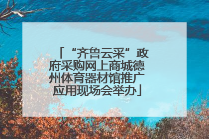 “齐鲁云采”政府采购网上商城德州体育器材馆推广应用现场会举办