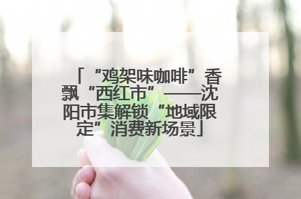 “鸡架味咖啡”香飘“西红市”——沈阳市集解锁“地域限定”消费新场景