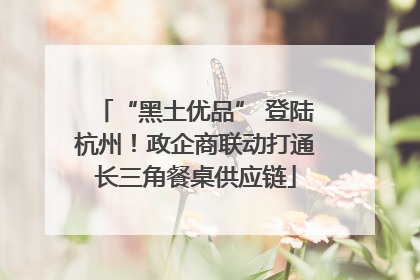 “黑土优品” 登陆杭州！政企商联动打通长三角餐桌供应链