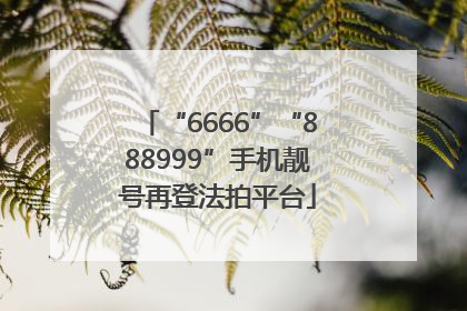“6666”“888999”手机靓号再登法拍平台