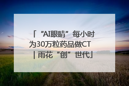 “AI眼睛”每小时为30万粒药品做CT｜雨花“创”世代