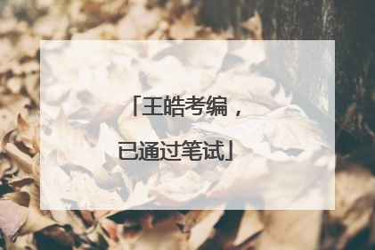 王皓考编，已通过笔试
