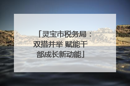 灵宝市税务局：双措并举 赋能干部成长新动能