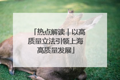 热点解读｜以高质量立法引领上海高质量发展