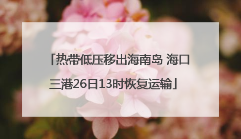 热带低压移出海南岛 海口三港26日13时恢复运输