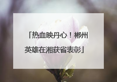 热血映丹心！郴州英雄在湘获省表彰