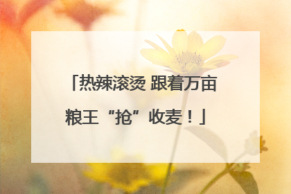 热辣滚烫 跟着万亩粮王“抢”收麦！