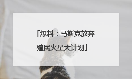 爆料：马斯克放弃殖民火星大计划