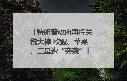 特朗普政府再挥关税大棒 欧盟、苹果、三星遭“突袭”