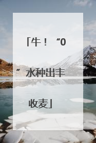 牛！“0”水种出丰收麦