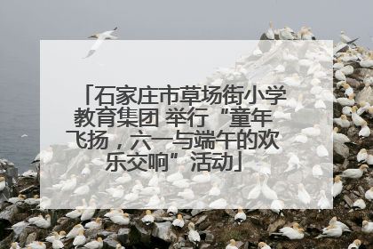 石家庄市草场街小学教育集团 举行“童年飞扬，六一与端午的欢乐交响”活动