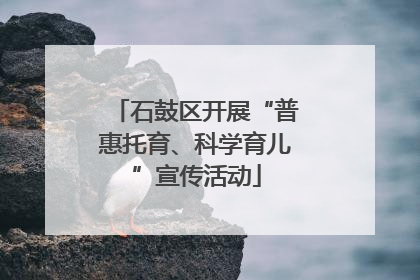 石鼓区开展“普惠托育、科学育儿”宣传活动