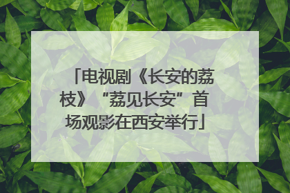 电视剧《长安的荔枝》“荔见长安”首场观影在西安举行
